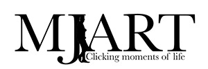 Best Seo Company In India